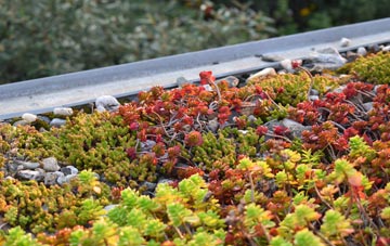 the cost of Fosbury green roof installation