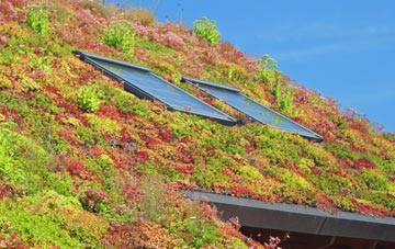 Fosbury living roof systems