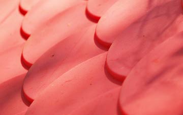 Fosbury plastic roof costs