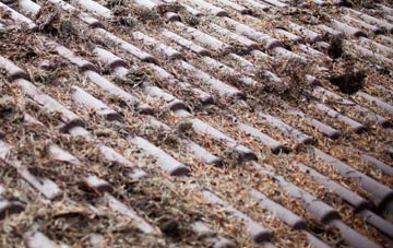 Fosbury roof cleaning companies