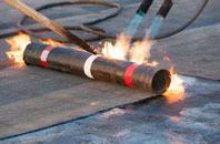 free Fosbury roof quotes